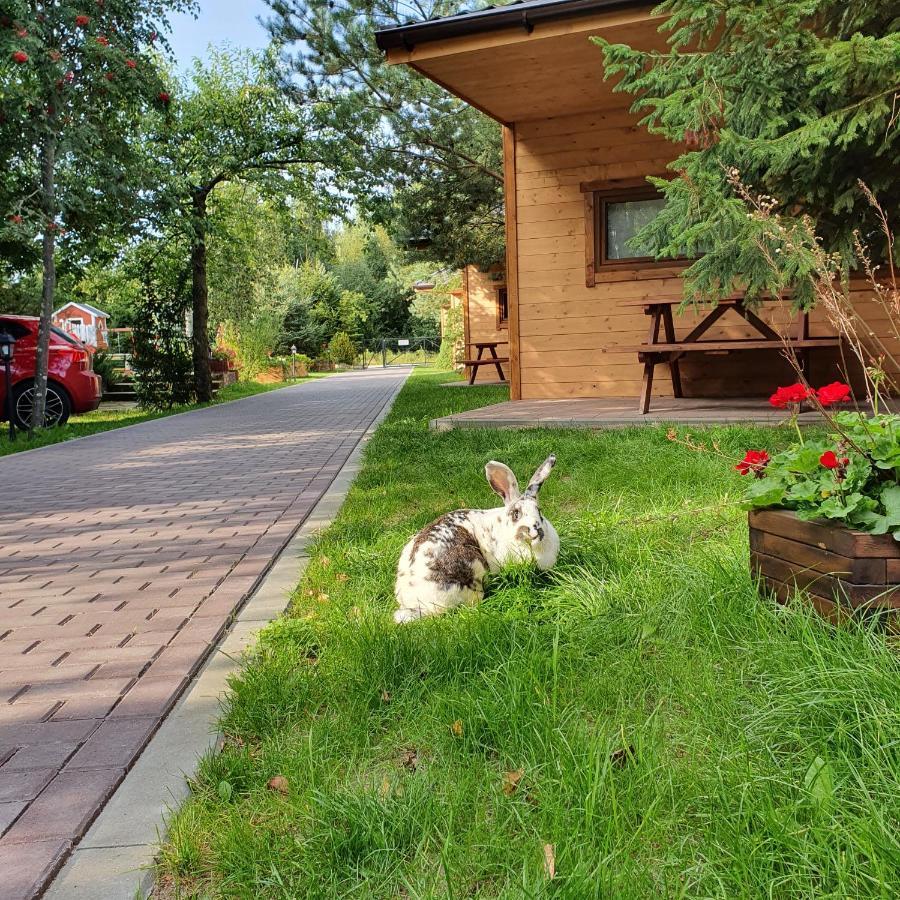 Ow Gabi Mrzeżyno Exterior foto